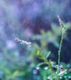 体育资讯_1